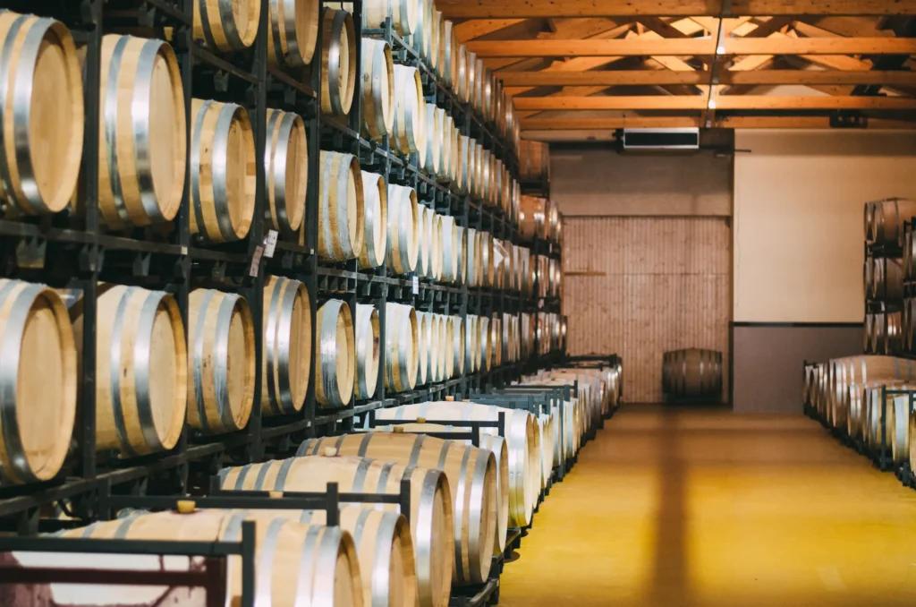 proceso de elaboración del vino